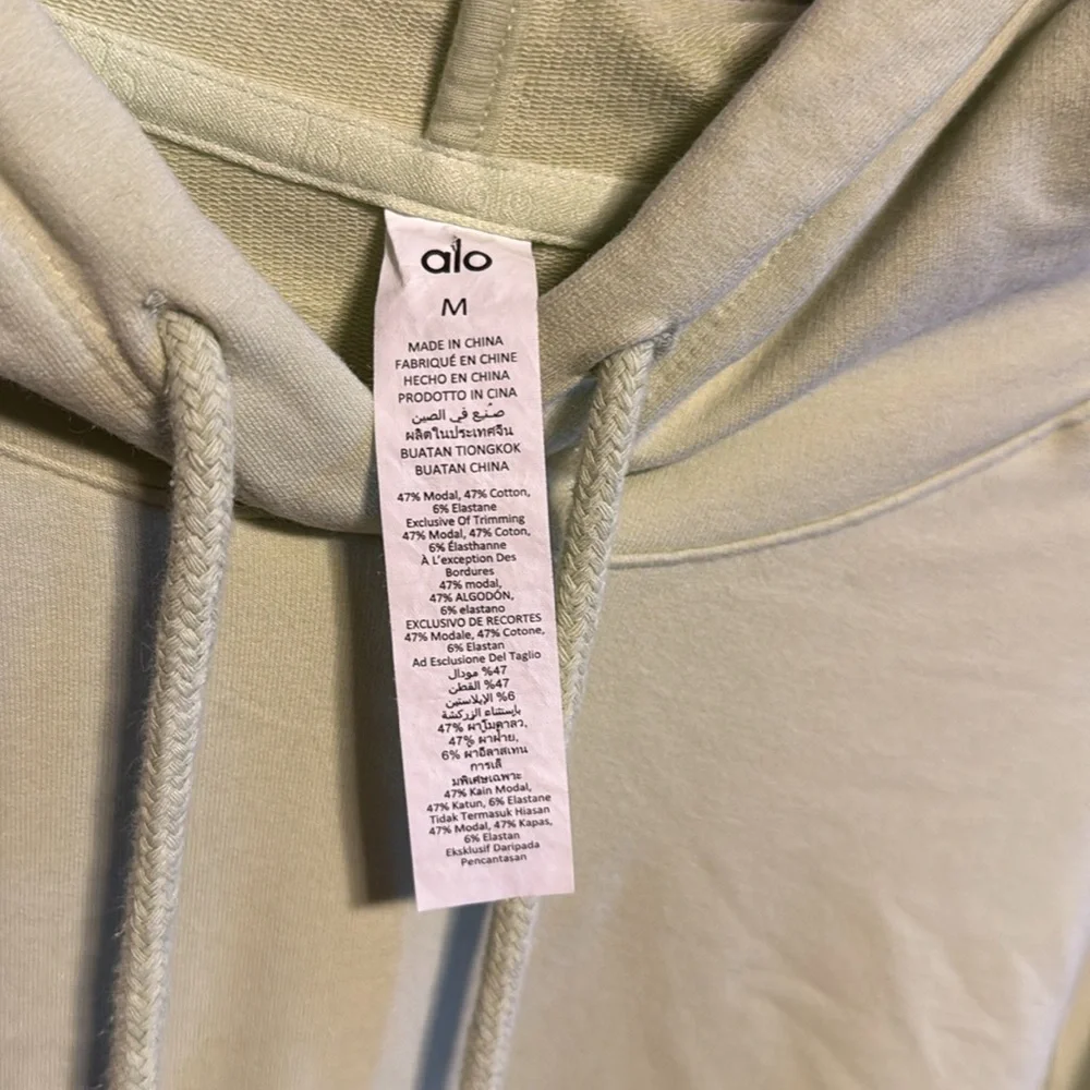 Alo Yoga Cropped Double Take Hoodie Sz Medium Iced Green Tea Pastel Sweatshirt